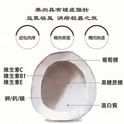 MSC Dried India Coconut Slice 500g【萬順昌】正宗印度椰子片 500克