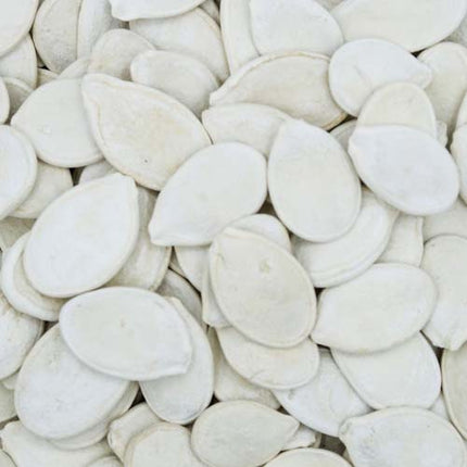 YIU FUNG STORE Winter Melon Seeds 262g【么鳳士多】白瓜子 262g