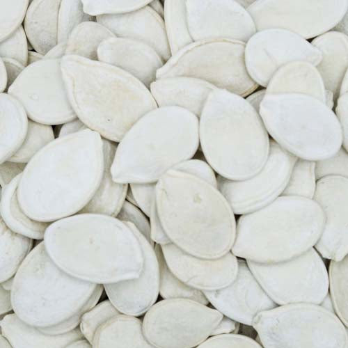 YIU FUNG STORE Winter Melon Seeds 262g【么鳳士多】白瓜子 262g