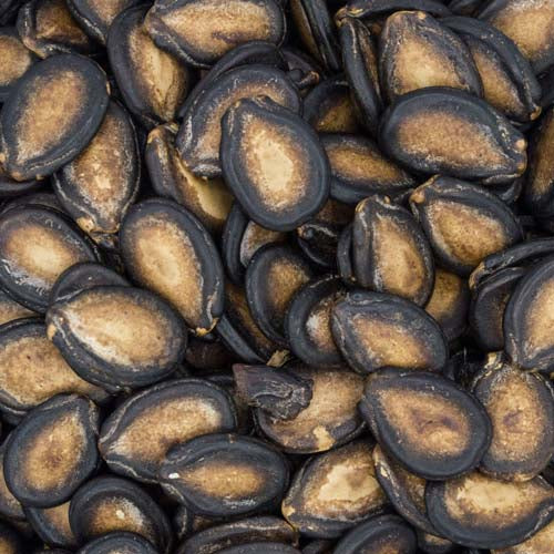 YIU FUNG STORE Lanzhou Black Melon King 300g【么鳳士多】蘭州黑瓜王 300g