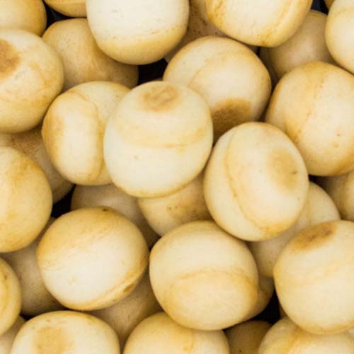 YIU FUNG STORE Small Bubble Puff Biscuits 187g【么鳳士多】水點水泡餅 187g