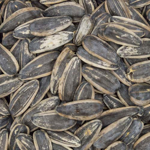 YIU FUNG STORE Sunflower Seeds 187g【么鳳士多】葵瓜子 187g